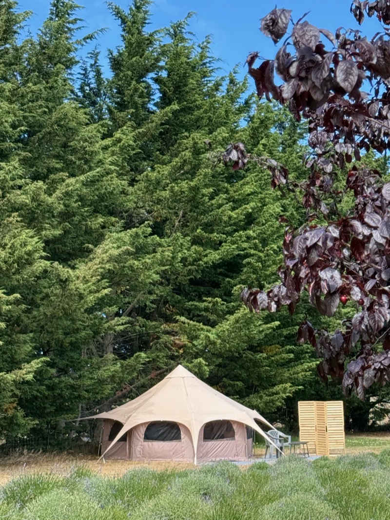 Glamping tent